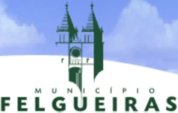 Felgueiras2007