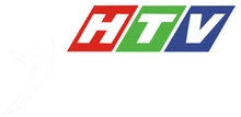 Logo chính không có chữ "HỂ THAO" và chỉ dùng cho sự kiện trực tiếp