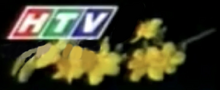 HTV logo Tet 2012 (HTV1)