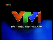 VTV1 (2008-2013)(2, logo 2010-2011)