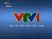 VTV1 (2010-2013)(5)