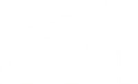 SCTV4 2010-2011