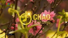 Chào buổi sáng VTV1 (Tết) (new clock)