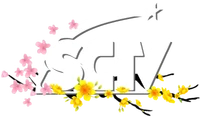 SCTV logo Tết 2023