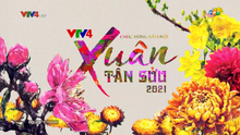 VTV4 ident Tết 2021 (2)