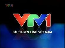 VTV1 (2008-2013)(2, logo 2011-2012)