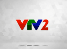VTV2 (Tết Giáp Ngọ 2014, trước GTCT trong ngày) (1)