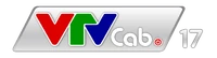 VTVcab 17