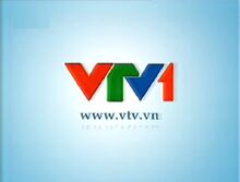 VTV1 2010-31.01.2013 no logo