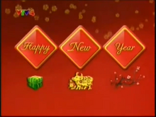 VTV4 ident Tết 2009