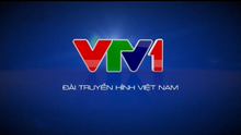 VTV1 (2014)(2, no logo)