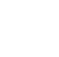 Logo THVN 1987 white