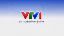 VTV1 (2015-2017, no logo)(1)