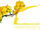 SCTV Phim Tổng hợp - SCTV Asia Top Series/Logo Tết