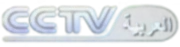 CCTV-Arabic 2010