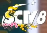 SCTV8 logo Tết 2025