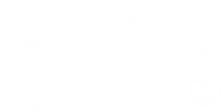 SCTV16 2010-2011 chính