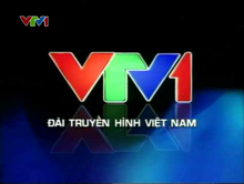 VTV1 (2008-2013)(2)