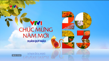VTV1 ident Tết 2023 (2)
