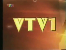 VTV1 ident 2005