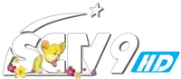 SCTV9 HD logo Tết 2020