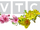 Đài Truyền hình Kỹ thuật số VTC/Logo Tết