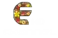 E Channel HD Tết 2016