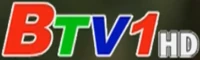 BTV1 HD logo 2025