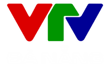 Logo VTV DaNang 01-2014