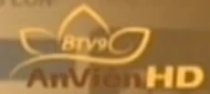 Logo có chữ BTV9
