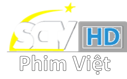 Các nền tảng phổ biến để xem phim HD Việt