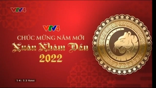VTV4 ident Tết 2022 (2, SD)
