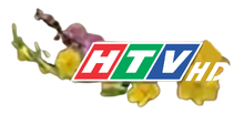 HTV HD Tet 2014