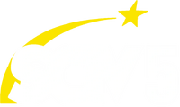 SCTV5 2011