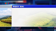 VTV1 Ngày mai 2023.2 (with screenbug)