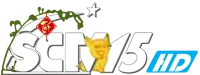 SCTV15 HD logo Tết 2019