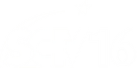 SCTV16 2010-2011 chính bản 2