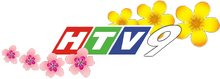 HTV9 logo Tet 2016 bản 2
