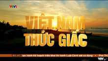 Việt Nam thức giấc (2018)