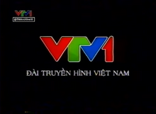 VTV1 (2010, logo VTV1 03-02-2010)