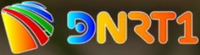 DNRT1 logo