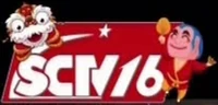 SCTV16 logo Tết 2025