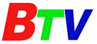 BTV logo 2011 (BTV5)