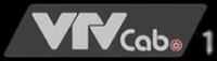 VTVcab 1 2015