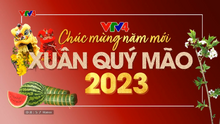 VTV4 ident Tết 2023 (2)