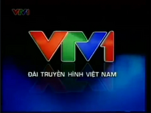 VTV1 (2008-2013)(2, logo 2013 bản 1)