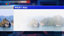 VTV1 Ngày mai 2023.3 (with screenbug)