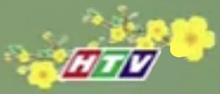 HTV logo Tet 2015 (HTV3)