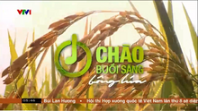 Chào buổi sáng bông lúa (2024-2025)