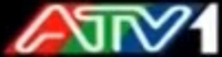 ATV1 logo 2013